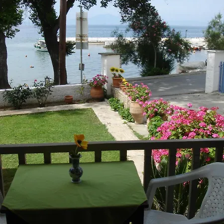Apartment Olga *