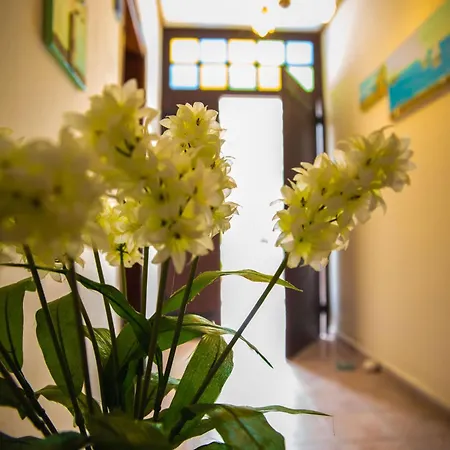 Apartment Olga Afissos